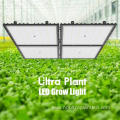 Enhanced 660nm LED Grow Light for Fruiting